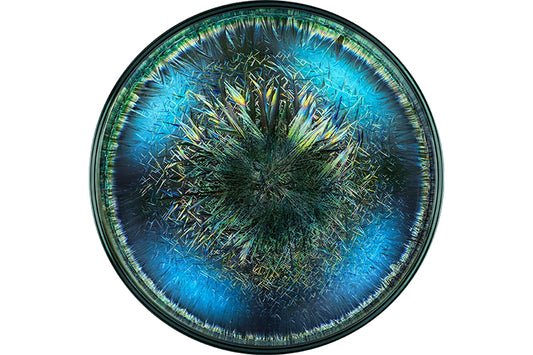 Vloerkleed Morphogenetic