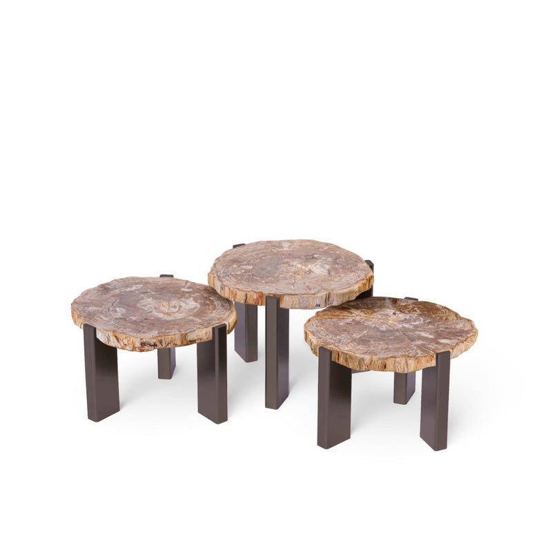 Tafelset Rudy versteend hout