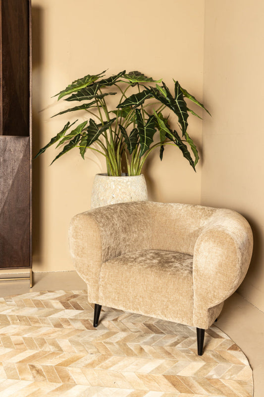 Fauteuil Elefan Antraciet