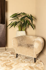 Fauteuil Elefan Antraciet
