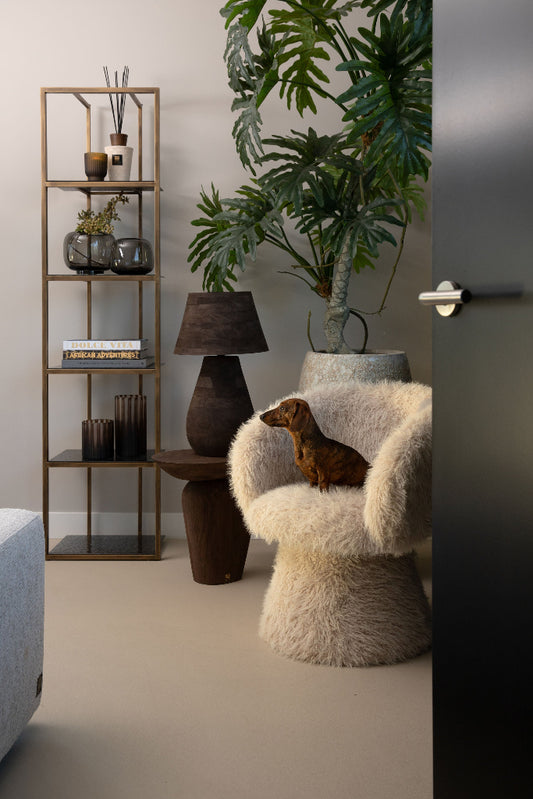 Beige eetkamerstoel/fauteuil Hermes