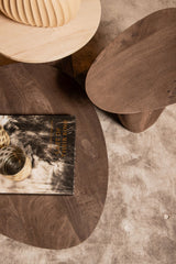 Salontafel Harshad 35x55x50 cm
