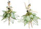 Ballerina Kersthangers