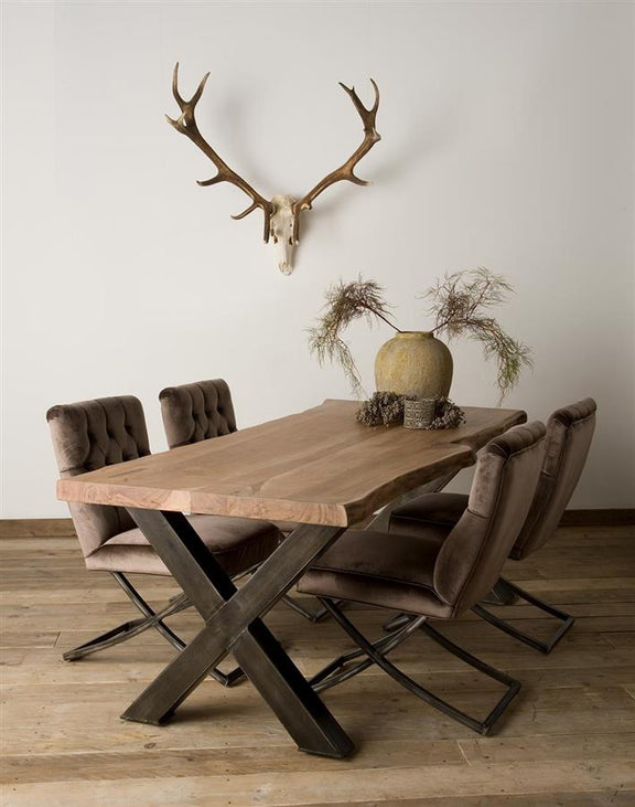 boomstamtafel