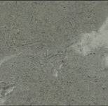P21C Piasentina grey