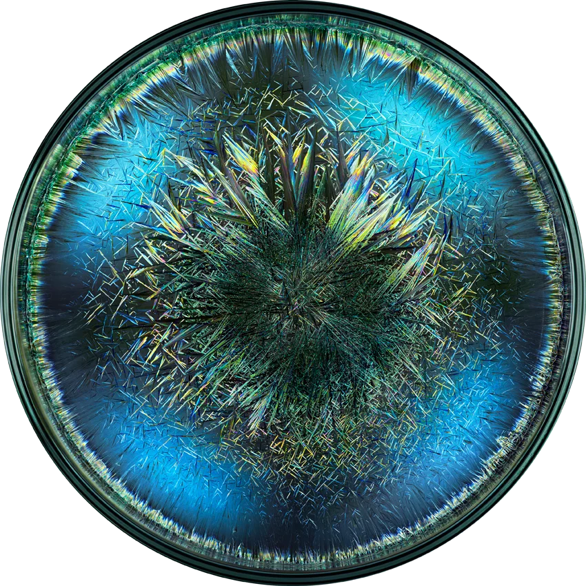 vloerkleed morphogenetic