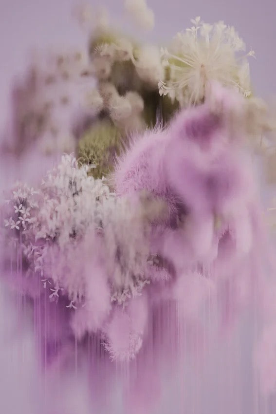 Vloerkleed Spring Pollen rechthoek