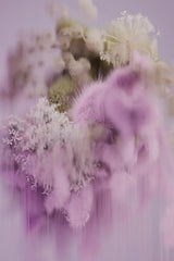 Vloerkleed Spring Pollen rechthoek