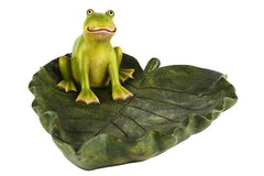 Vogelvoerbakje met kikker